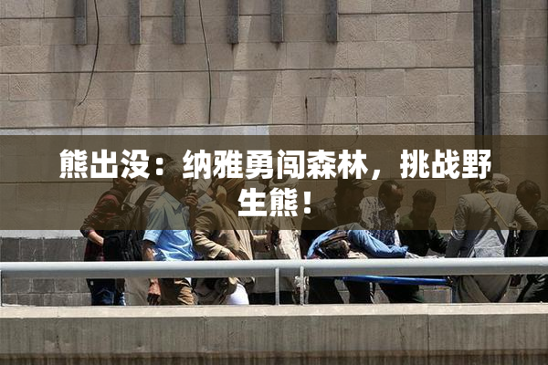 熊出没：纳雅勇闯森林，挑战野生熊！