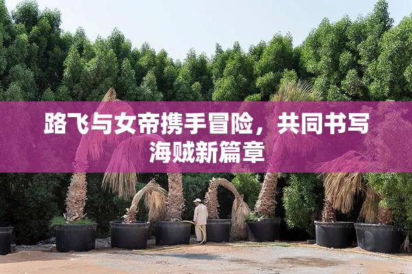 路飞与女帝携手冒险，共同书写海贼新篇章