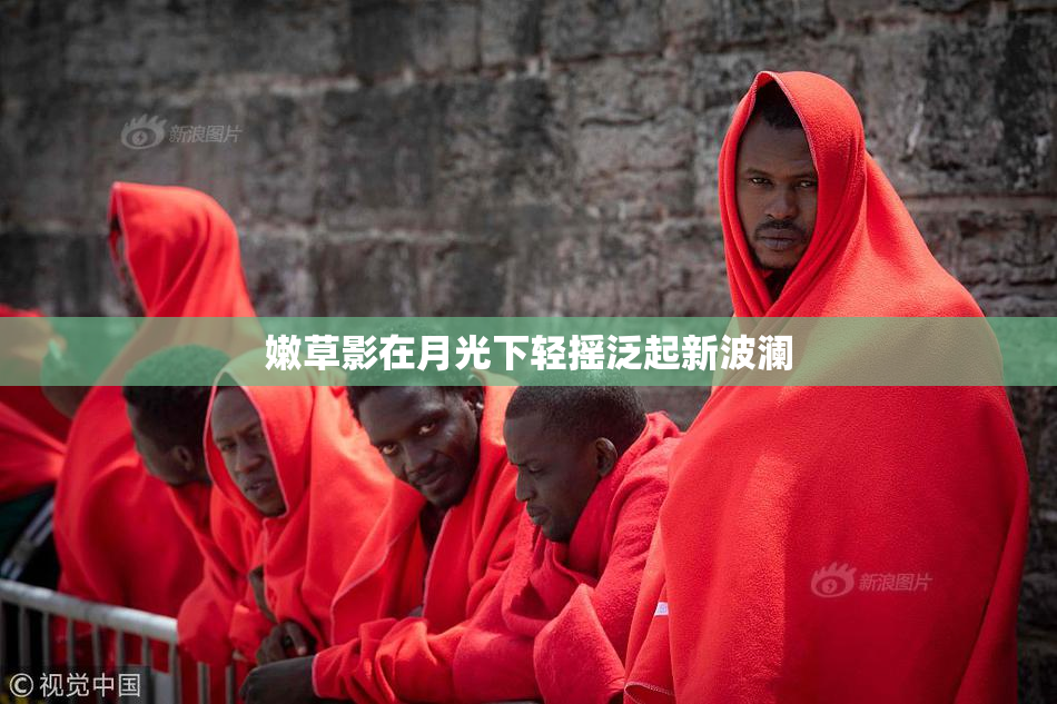 嫩草影在月光下轻摇泛起新波澜