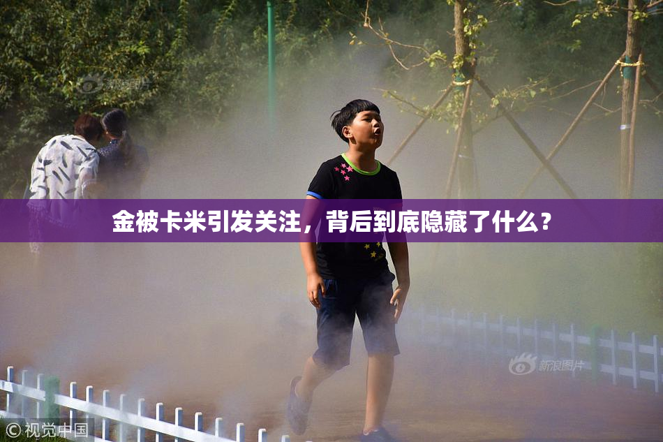 金被卡米引发关注，背后到底隐藏了什么？