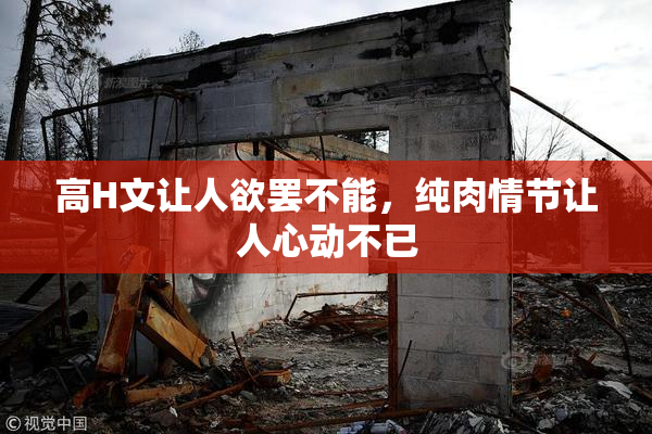 高H文让人欲罢不能，纯肉情节让人心动不已
