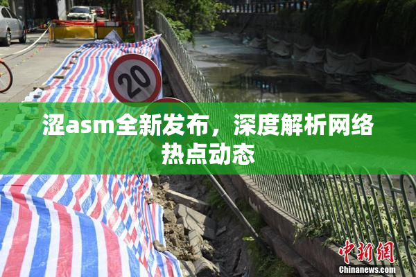 涩asm全新发布，深度解析网络热点动态