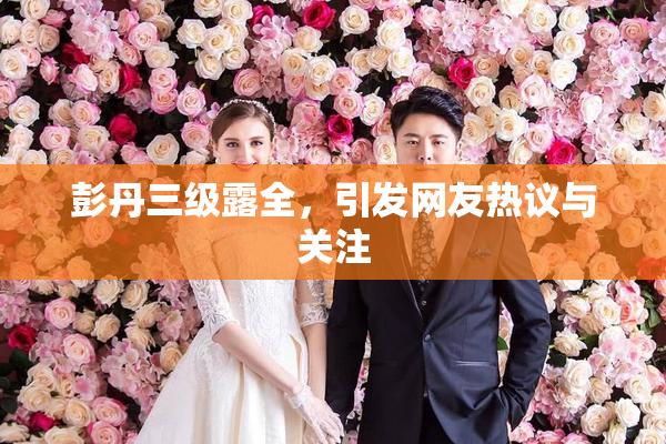 彭丹三级露全，引发网友热议与关注