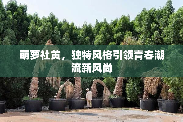 萌萝社黄，独特风格引领青春潮流新风尚