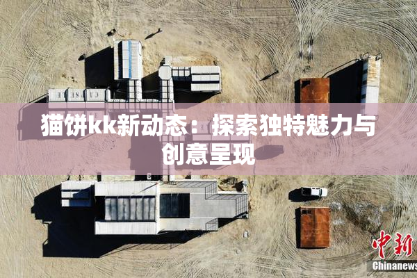 猫饼kk新动态：探索独特魅力与创意呈现