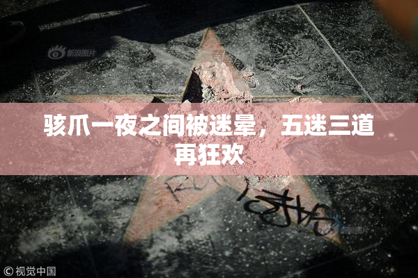骇爪一夜之间被迷晕，五迷三道再狂欢