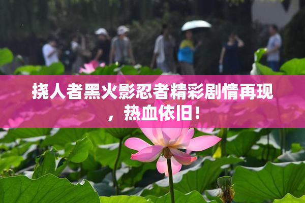 挠人者黑火影忍者精彩剧情再现，热血依旧！