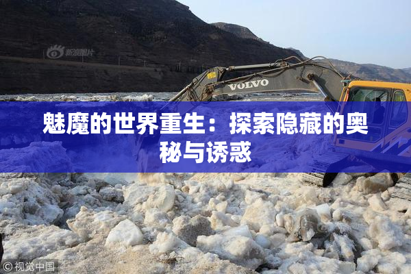 魅魔的世界重生：探索隐藏的奥秘与诱惑