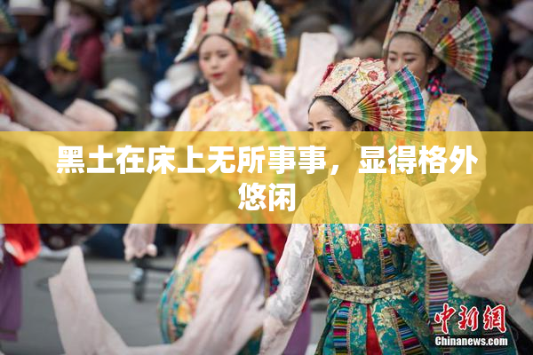 黑土在床上无所事事，显得格外悠闲