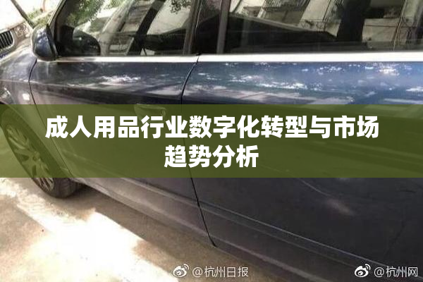 成人用品行业数字化转型与市场趋势分析