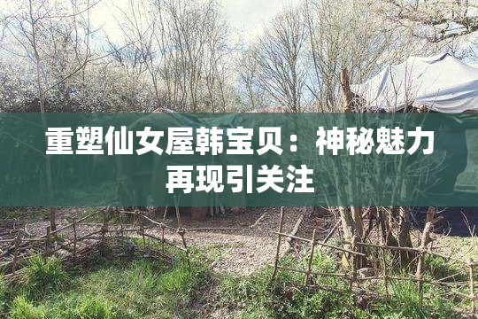 重塑仙女屋韩宝贝：神秘魅力再现引关注
