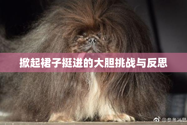 掀起裙子挺进的大胆挑战与反思