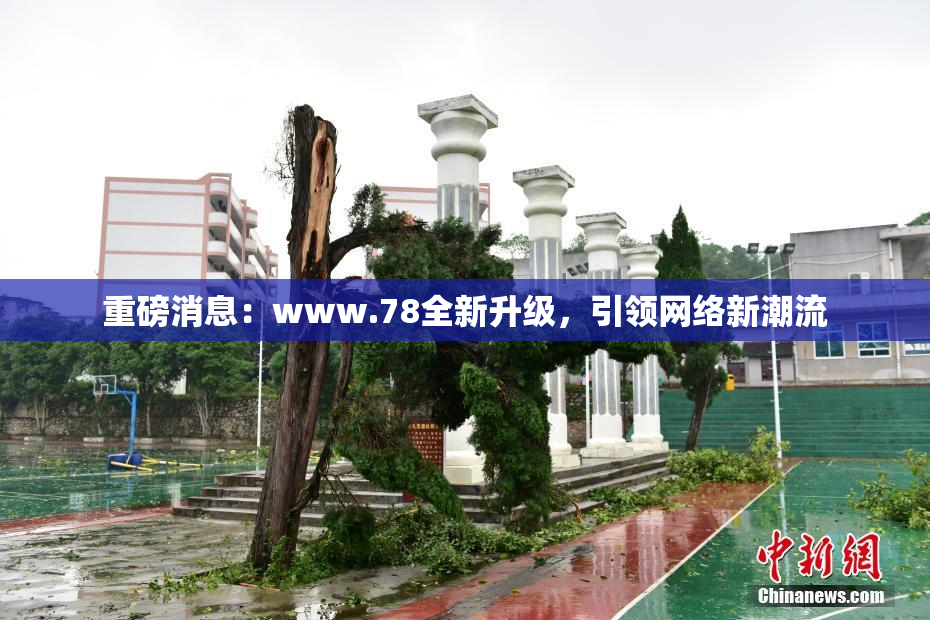 重磅消息：www.78全新升级，引领网络新潮流