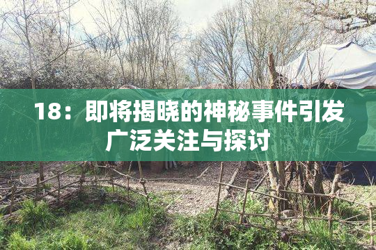18：即将揭晓的神秘事件引发广泛关注与探讨