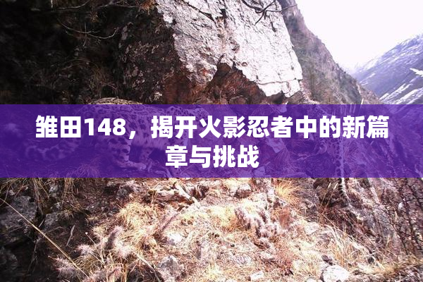 雏田148，揭开火影忍者中的新篇章与挑战