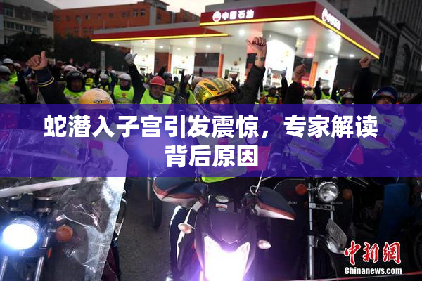 蛇潜入子宫引发震惊，专家解读背后原因