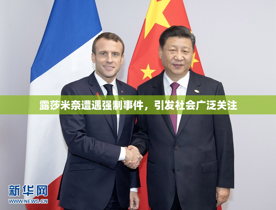 露莎米奈遭遇强制事件，引发社会广泛关注