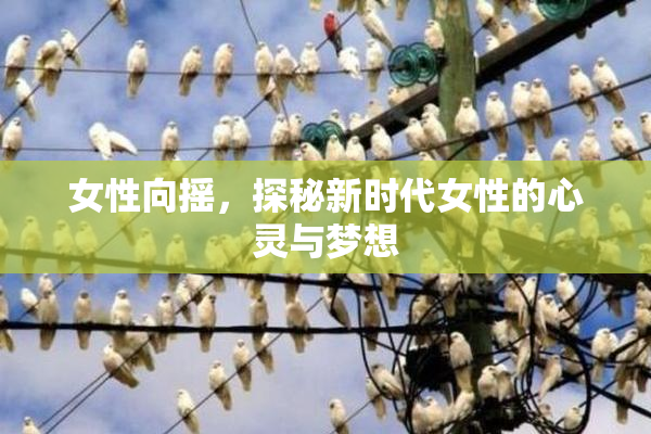女性向摇，探秘新时代女性的心灵与梦想