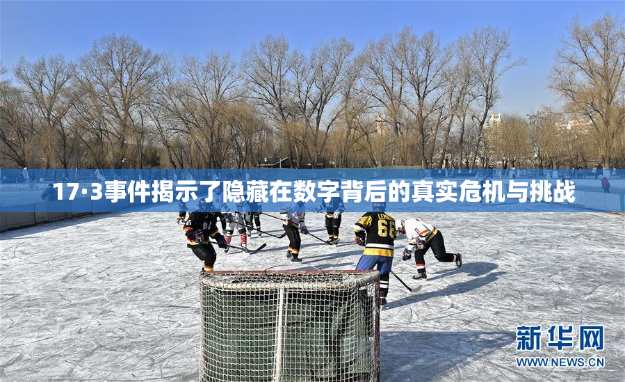 17·3事件揭示了隐藏在数字背后的真实危机与挑战
