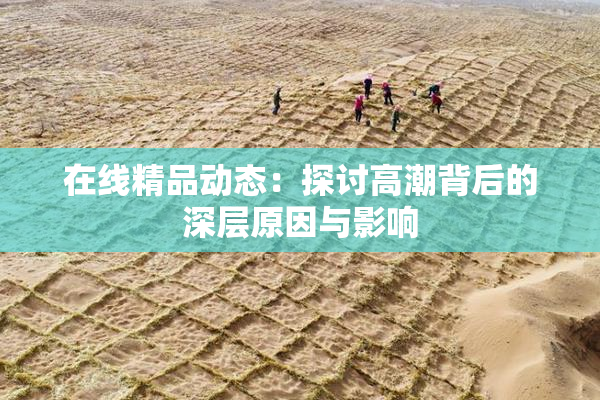 在线精品动态：探讨高潮背后的深层原因与影响