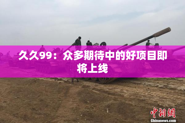 久久99：众多期待中的好项目即将上线
