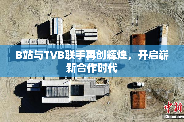 B站与TVB联手再创辉煌，开启崭新合作时代
