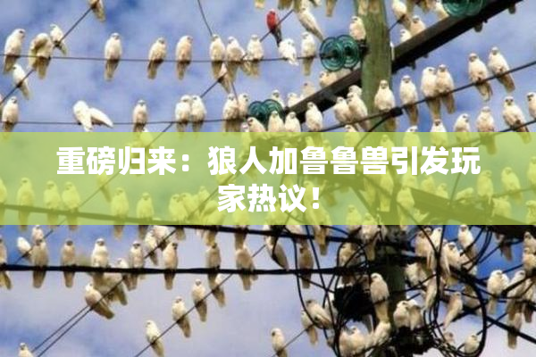 重磅归来：狼人加鲁鲁兽引发玩家热议！