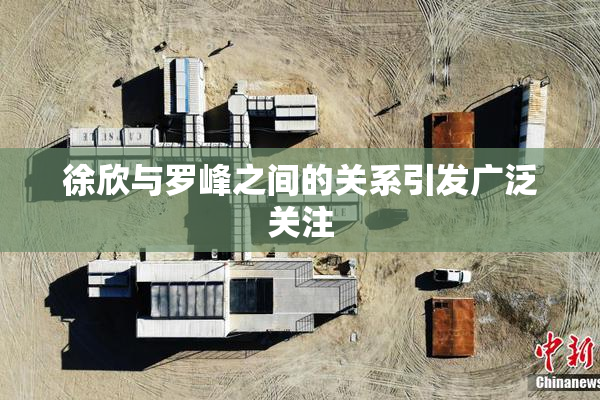 徐欣与罗峰之间的关系引发广泛关注