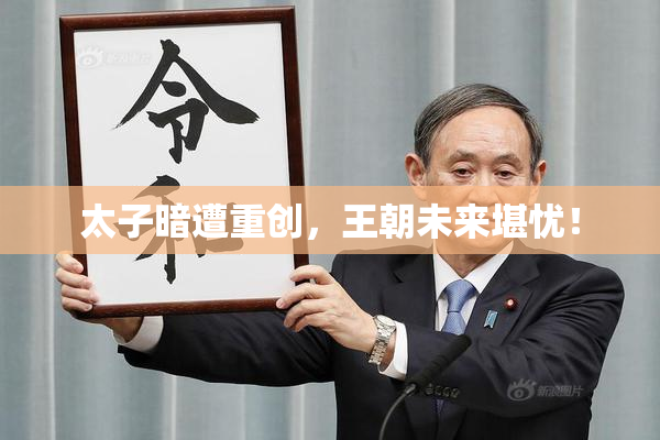 太子暗遭重创，王朝未来堪忧！