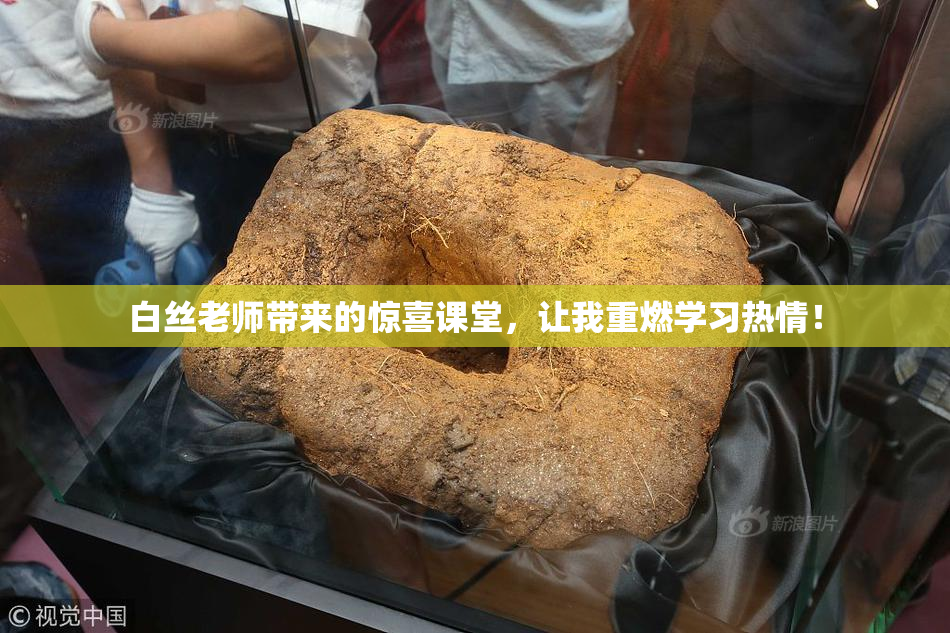 白丝老师带来的惊喜课堂，让我重燃学习热情！