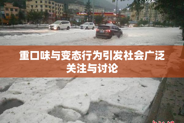 重口味与变态行为引发社会广泛关注与讨论