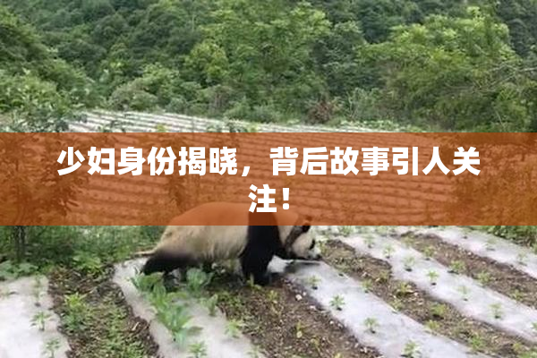 少妇身份揭晓，背后故事引人关注！