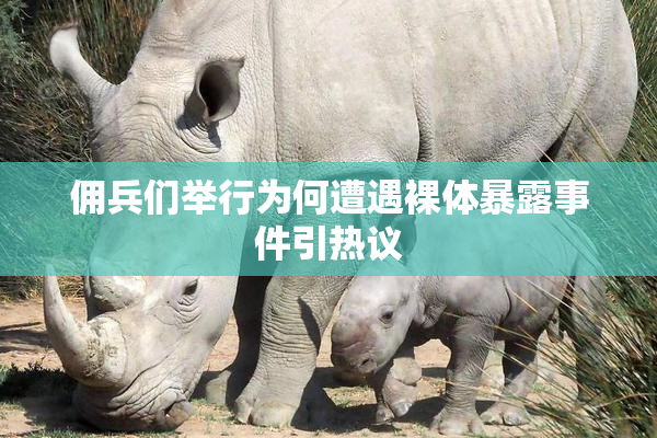 佣兵们举行为何遭遇裸体暴露事件引热议
