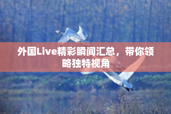 外国Live精彩瞬间汇总，带你领略独特视角