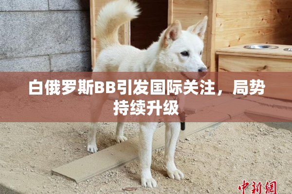 白俄罗斯BB引发国际关注，局势持续升级