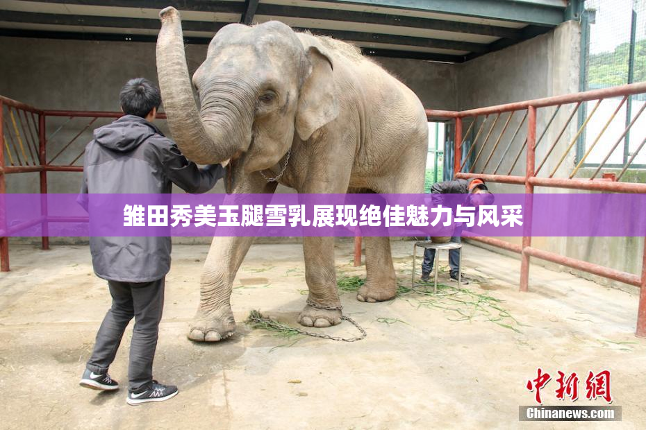 雏田秀美玉腿雪乳展现绝佳魅力与风采