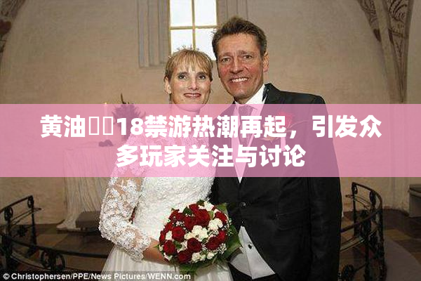 黄油❌‌18禁游热潮再起，引发众多玩家关注与讨论