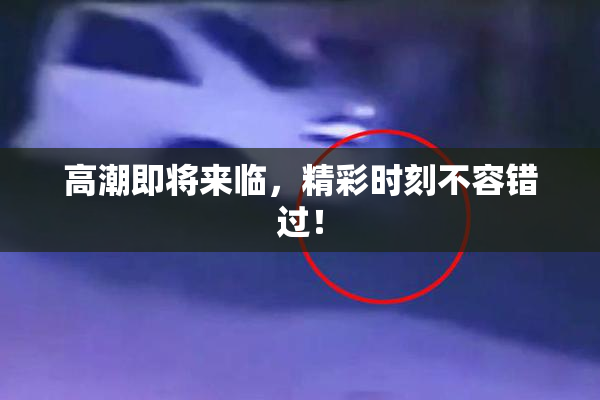 高潮即将来临，精彩时刻不容错过！