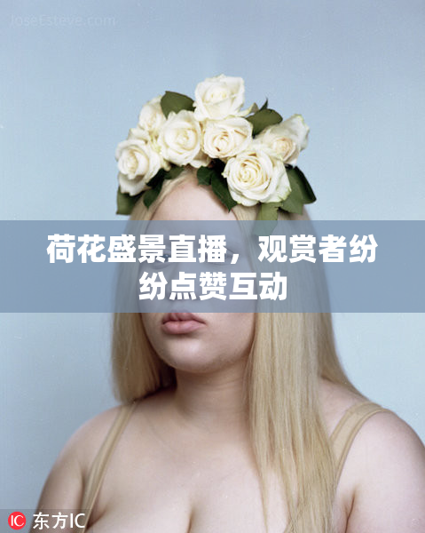 荷花盛景直播，观赏者纷纷点赞互动