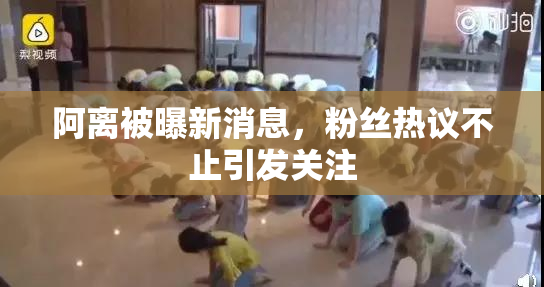 阿离被曝新消息，粉丝热议不止引发关注