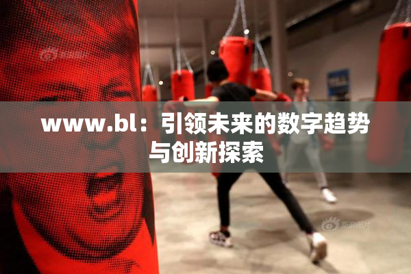 www.bl：引领未来的数字趋势与创新探索