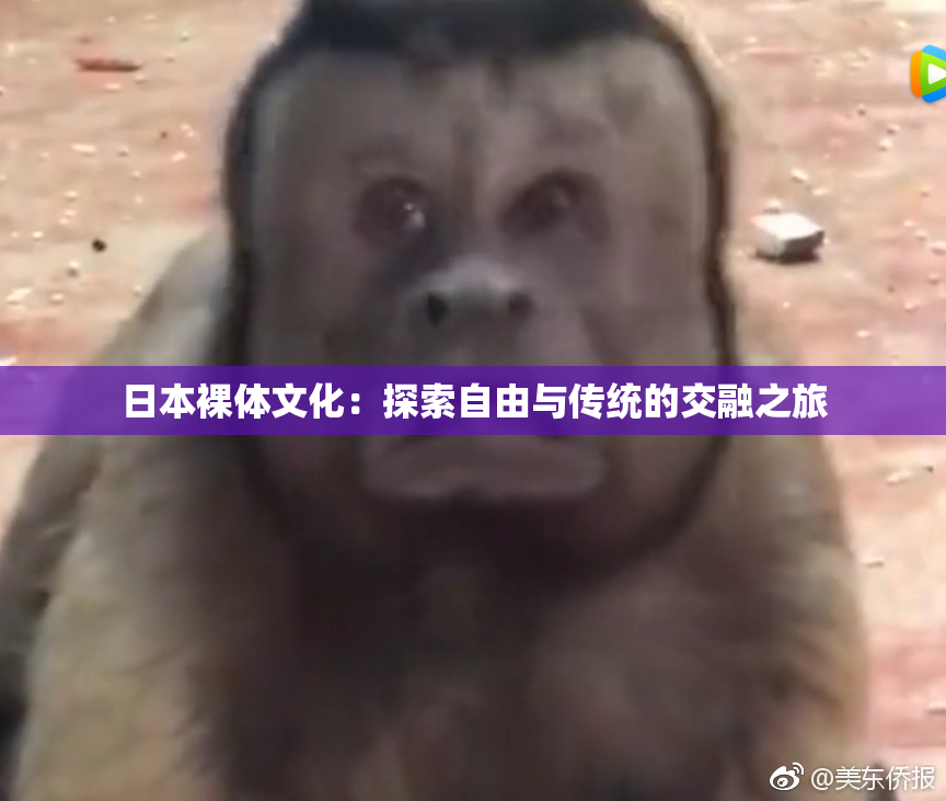 日本裸体文化：探索自由与传统的交融之旅