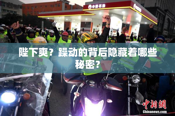 陛下爽？躁动的背后隐藏着哪些秘密？