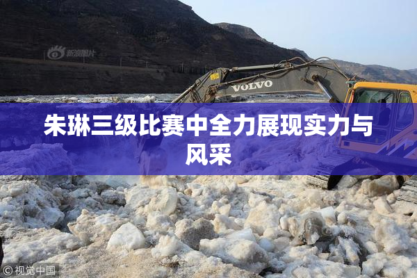 朱琳三级比赛中全力展现实力与风采