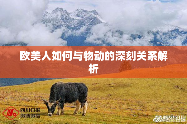 欧美人如何与物动的深刻关系解析