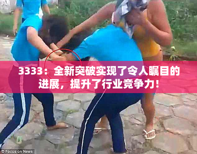 3333：全新突破实现了令人瞩目的进展，提升了行业竞争力！