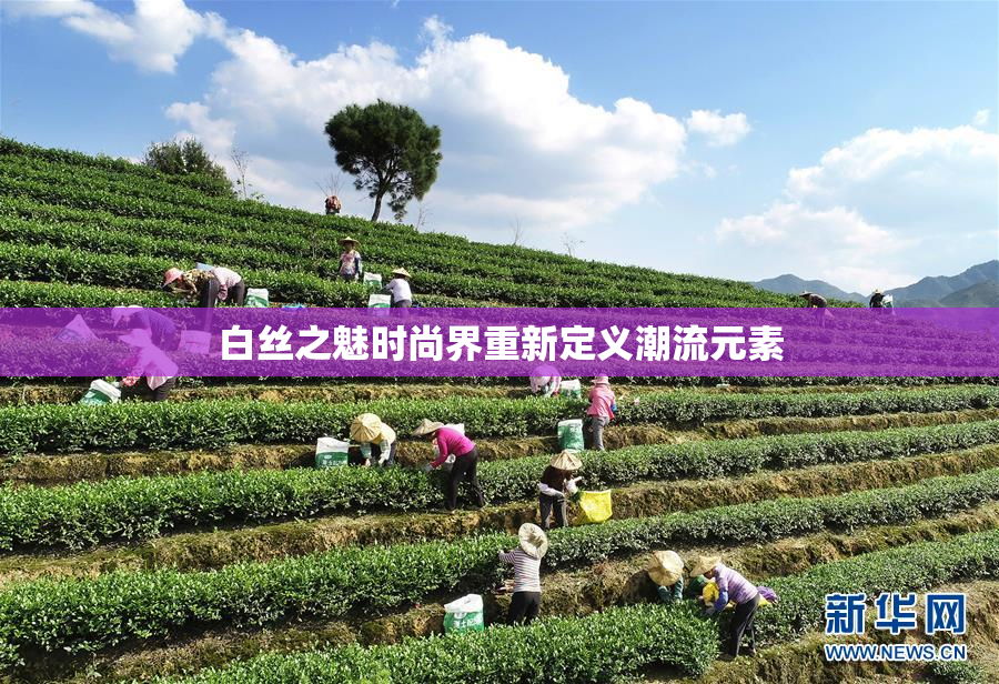 白丝之魅时尚界重新定义潮流元素