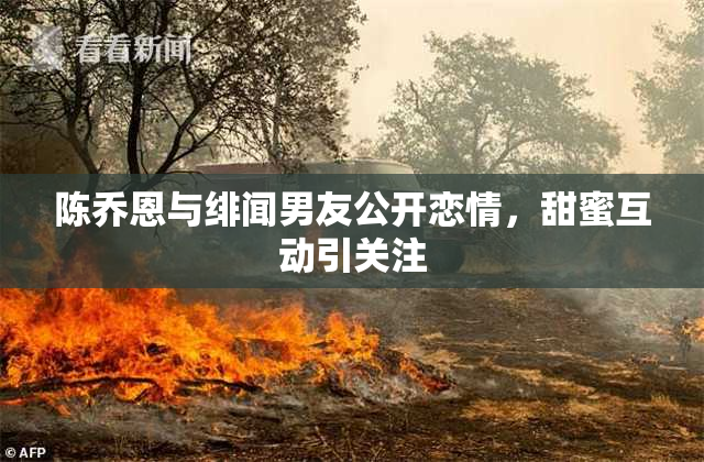 陈乔恩与绯闻男友公开恋情，甜蜜互动引关注