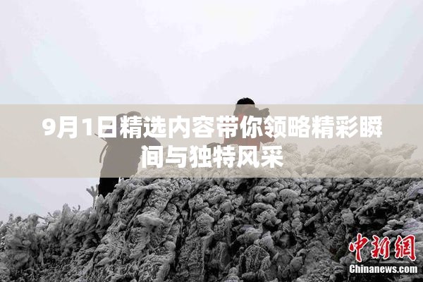9月1日精选内容带你领略精彩瞬间与独特风采
