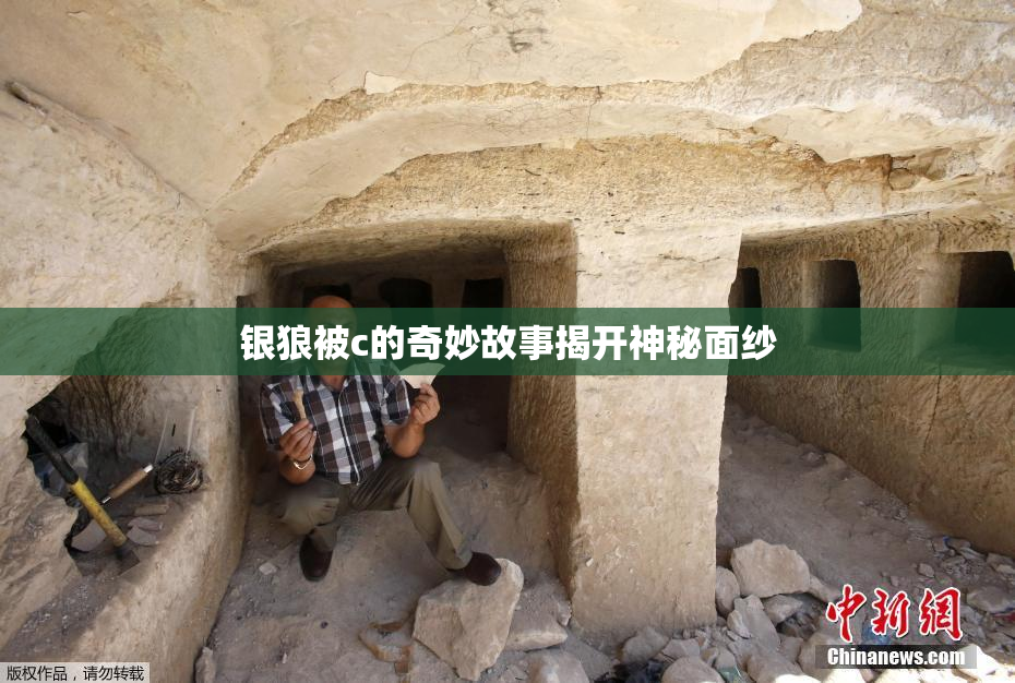 银狼被c的奇妙故事揭开神秘面纱